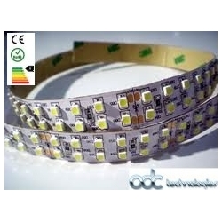 STRIPLED-IP20-240LM-BC